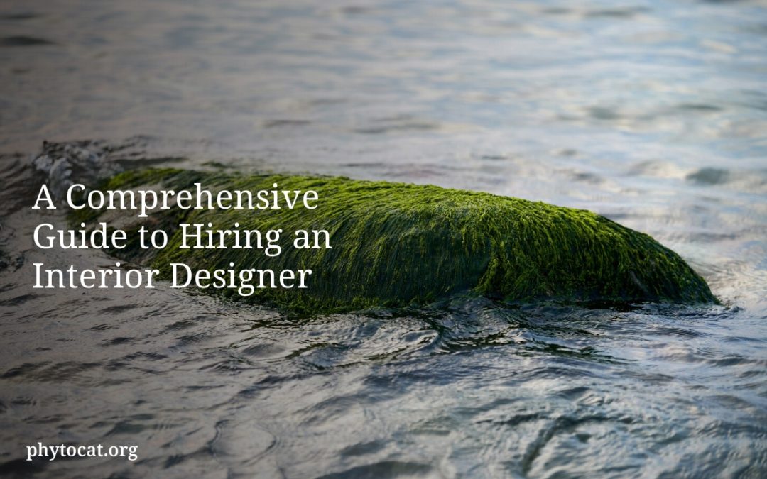 A Comprehensive Guide to Hiring an Interior Designer