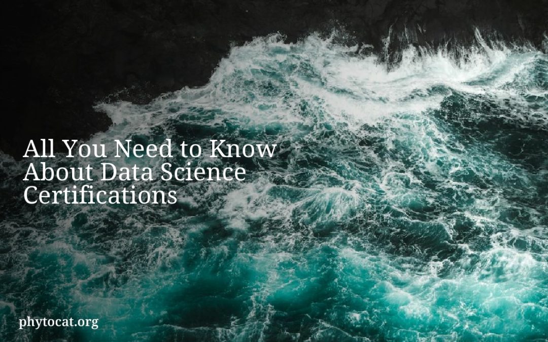 All You Need to Know About Data Science Certifications
