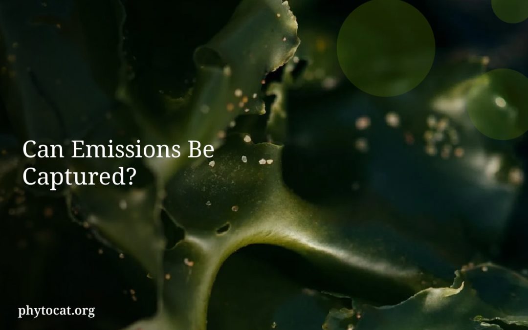 Can Emissions Be Captured?