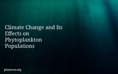 Climate Change and Its Effects on Phytoplankton Populations