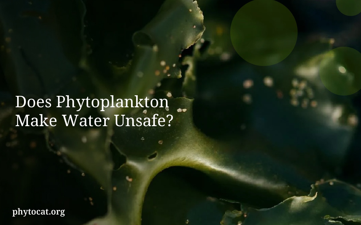 Does Phytoplankton Make Water Unsafe?