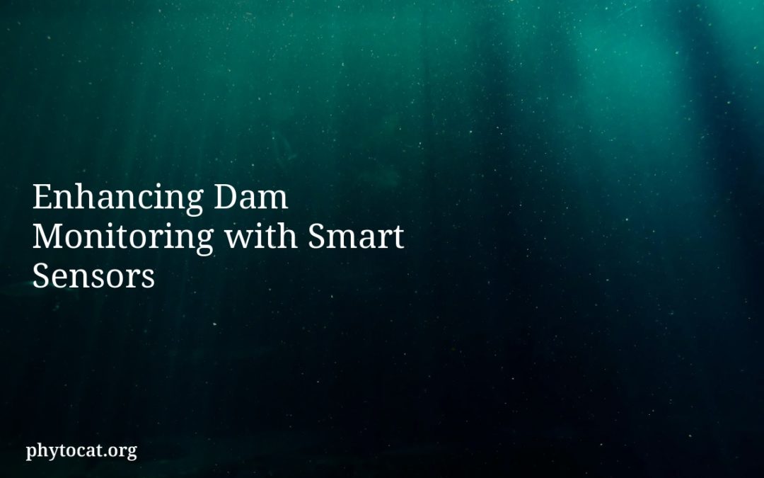 Enhancing Dam Monitoring with Smart Sensors