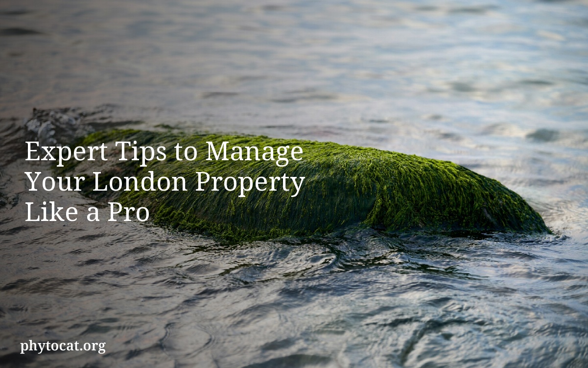 Expert Tips to Manage Your London Property Like a Pro