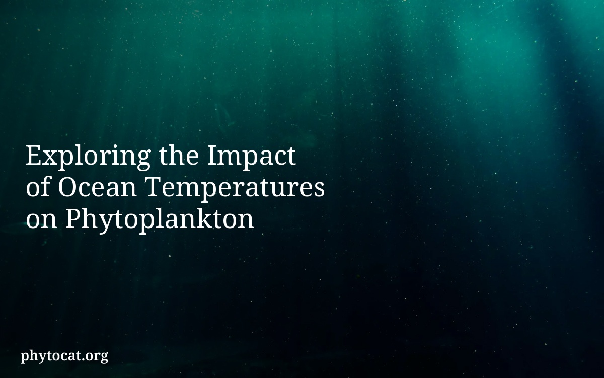 Exploring the Impact of Ocean Temperatures on Phytoplankton