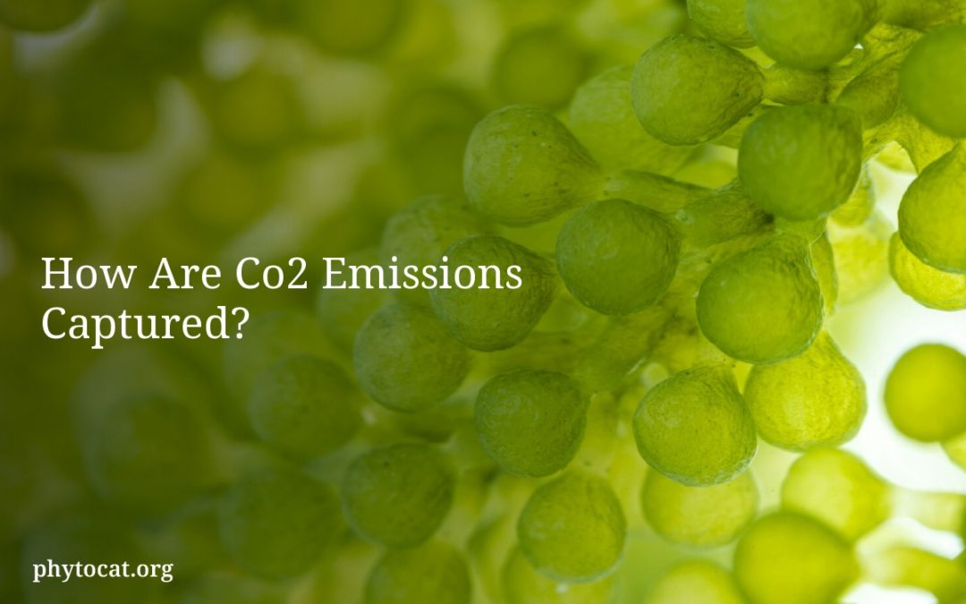 How Are Co2 Emissions Captured?