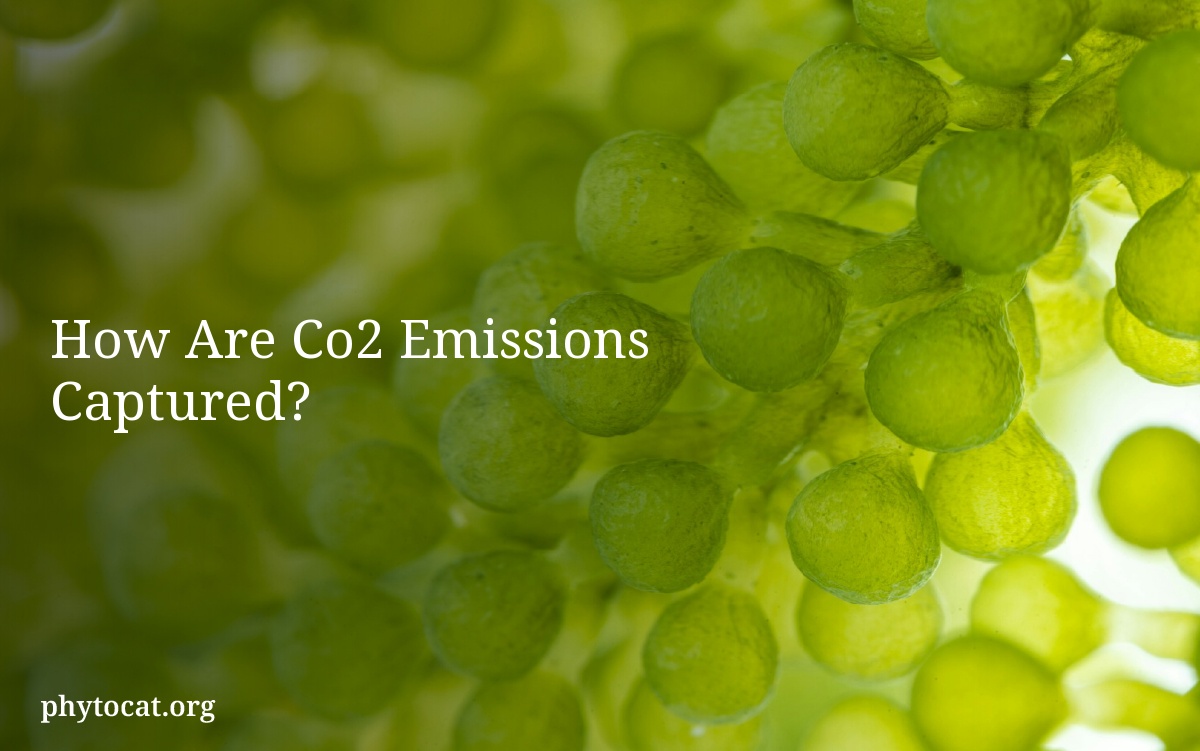 How Are Co2 Emissions Captured?