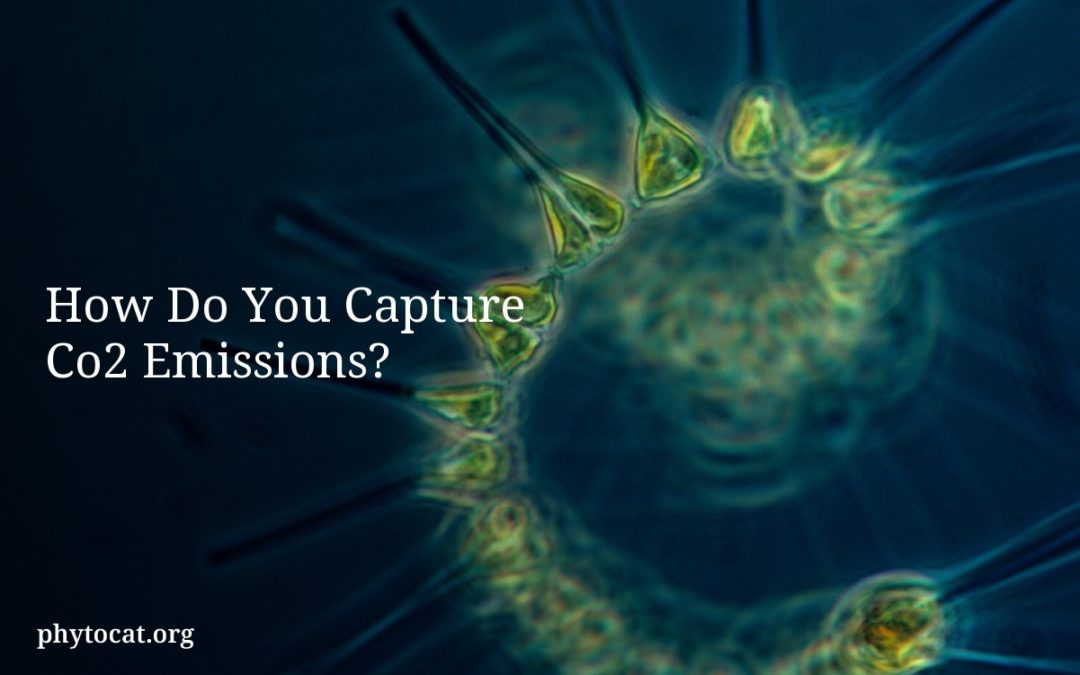 How Do You Capture Co2 Emissions?