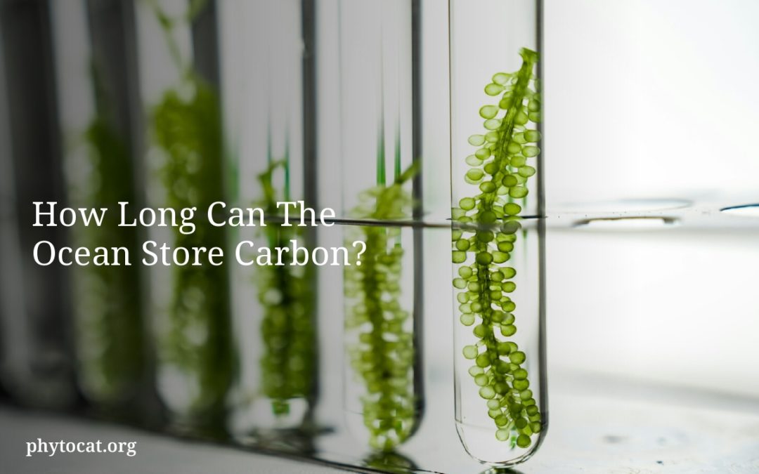 How Long Can The Ocean Store Carbon?