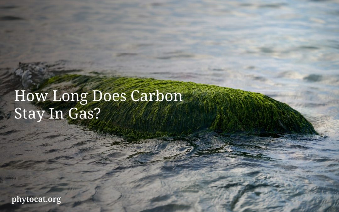 How Long Does Carbon Stay In Gas?