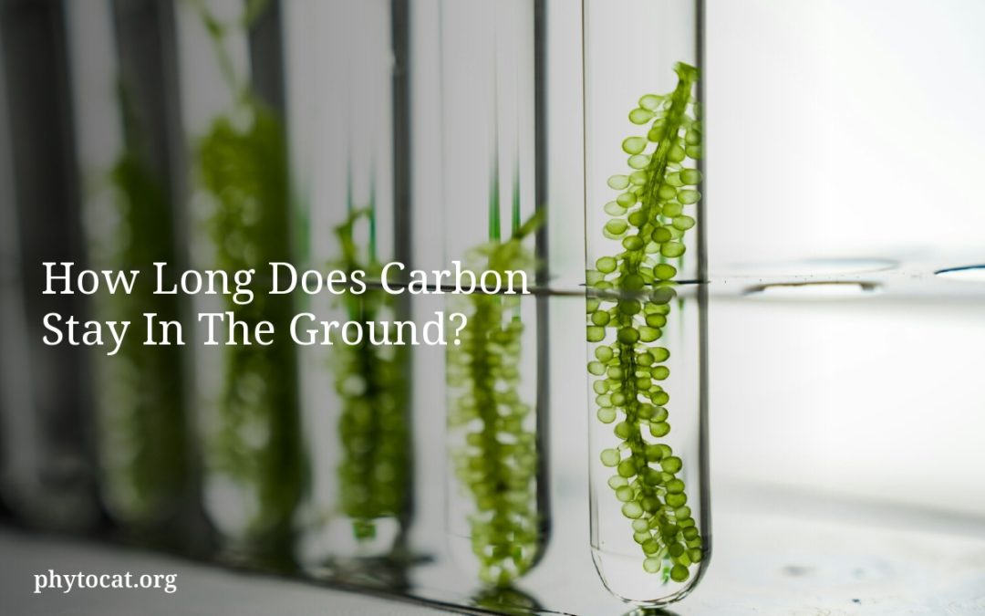 How Long Does Carbon Stay In The Ground?