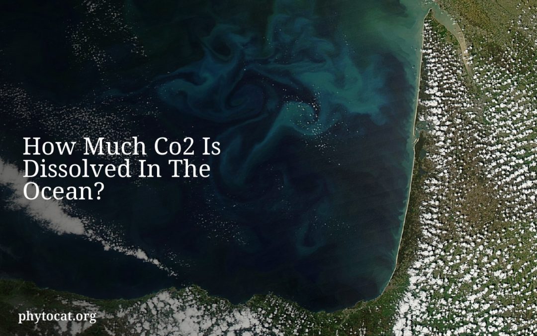 How Much Co2 Is Dissolved In The Ocean?