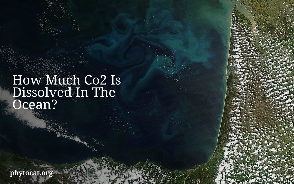 How Much Co2 Is Dissolved In The Ocean?