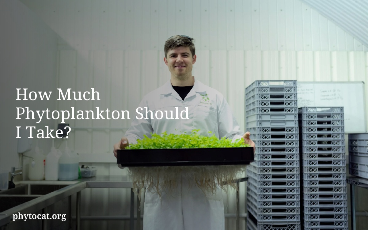 How Much Phytoplankton Should I Take?