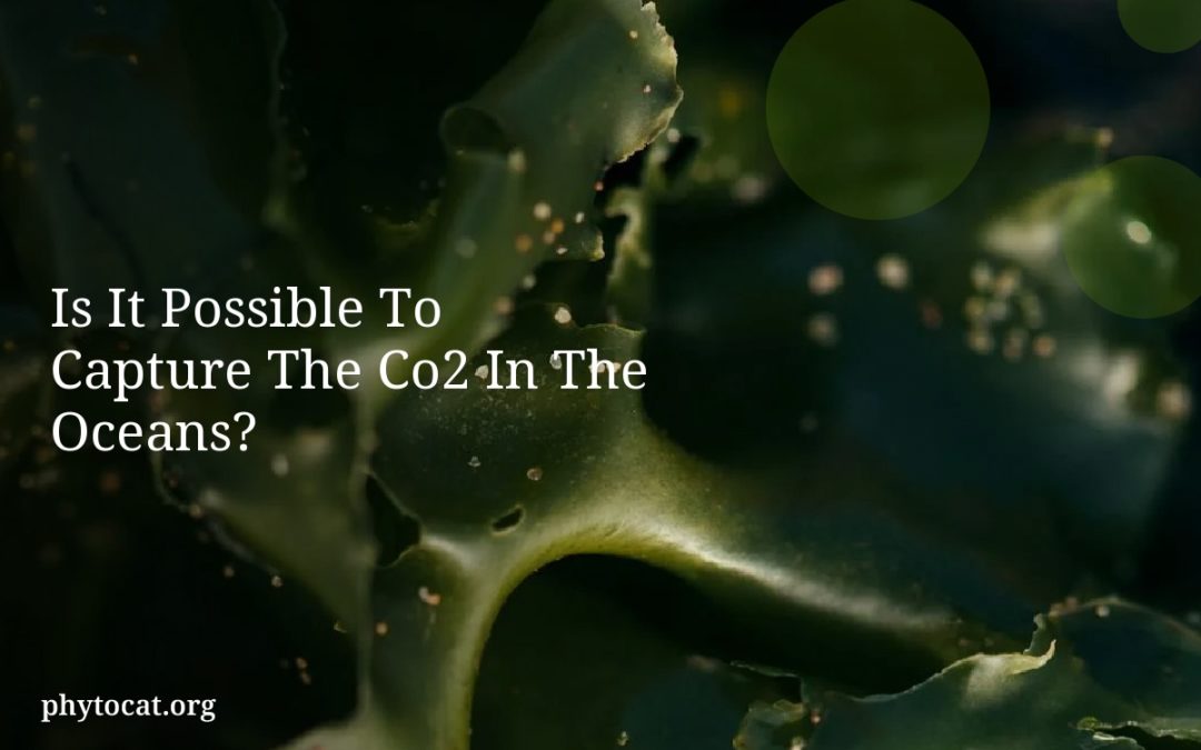 Is It Possible To Capture The Co2 In The Oceans?