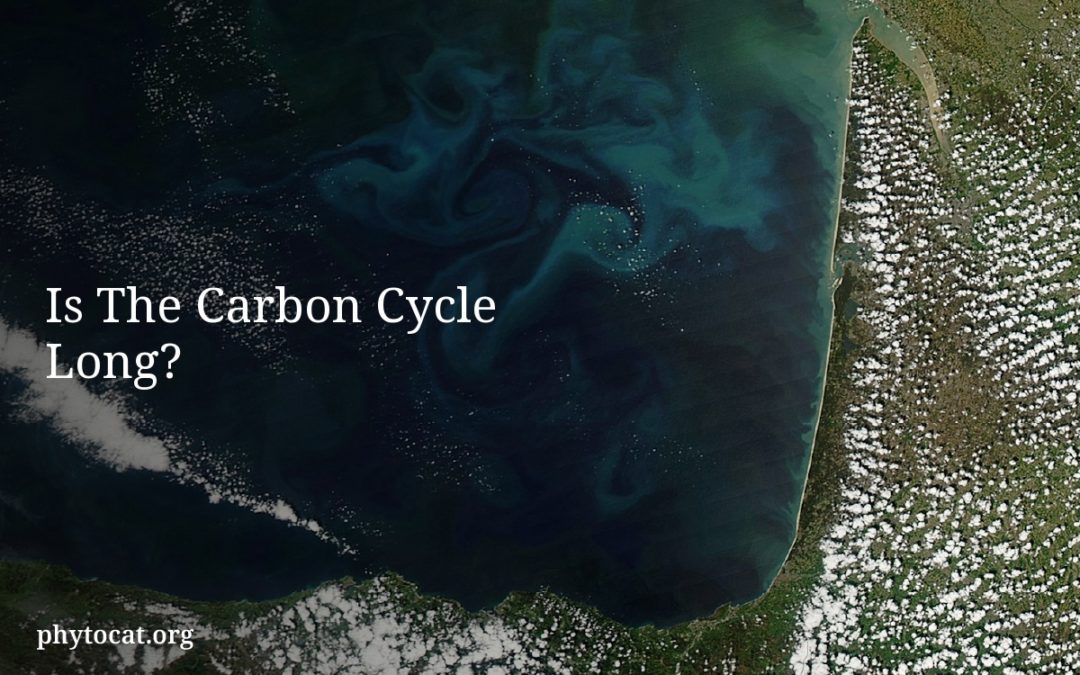 Is The Carbon Cycle Long?