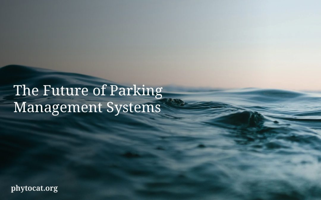 The Future of Parking Management Systems