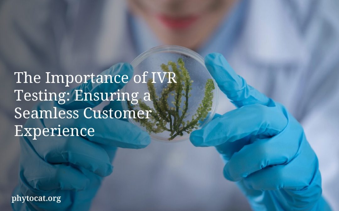 The Importance of IVR Testing: Ensuring a Seamless Customer Experience