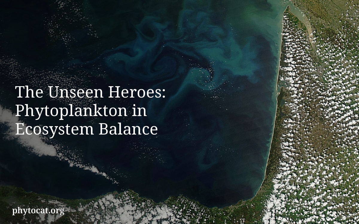 The Unseen Heroes: Phytoplankton in Ecosystem Balance