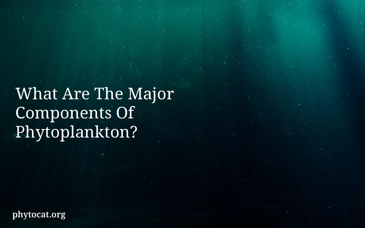 What Are The Major Components Of Phytoplankton?
