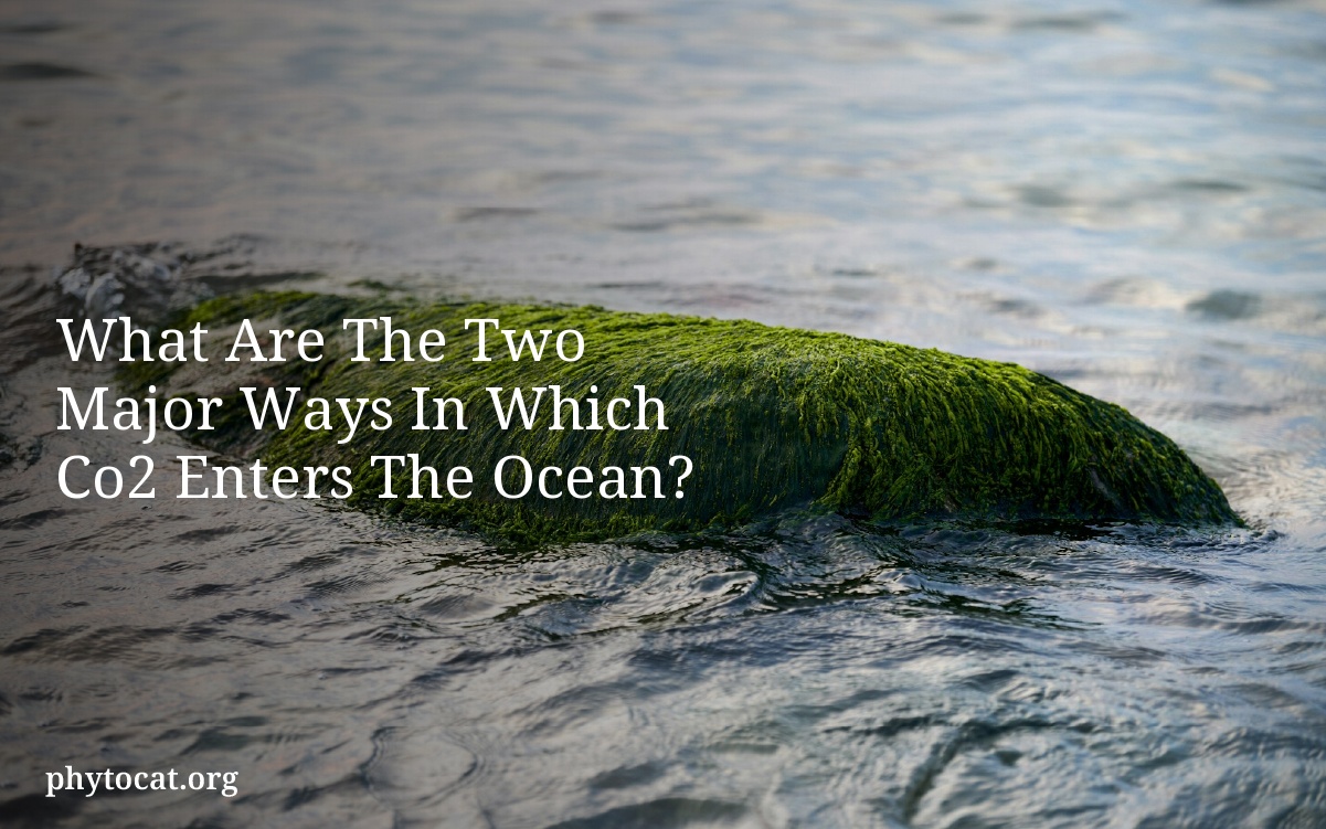 What Are The Two Major Ways In Which Co2 Enters The Ocean?