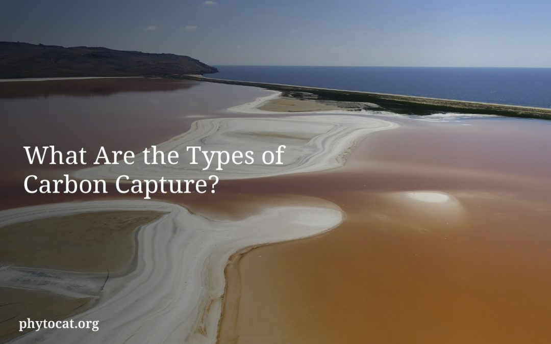 What Are the Types of Carbon Capture?