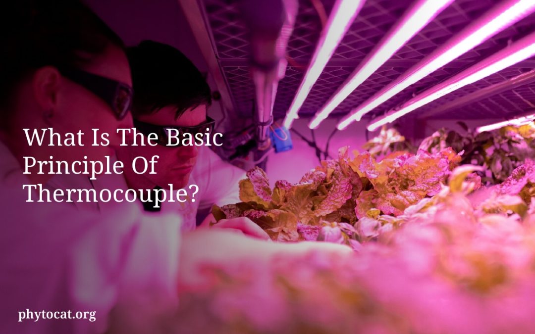 What Is The Basic Principle Of Thermocouple?