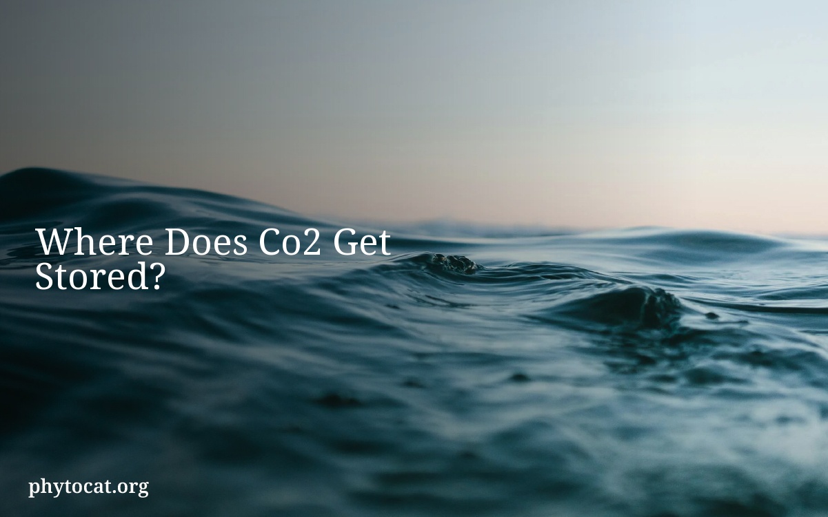Where Does Co2 Get Stored?
