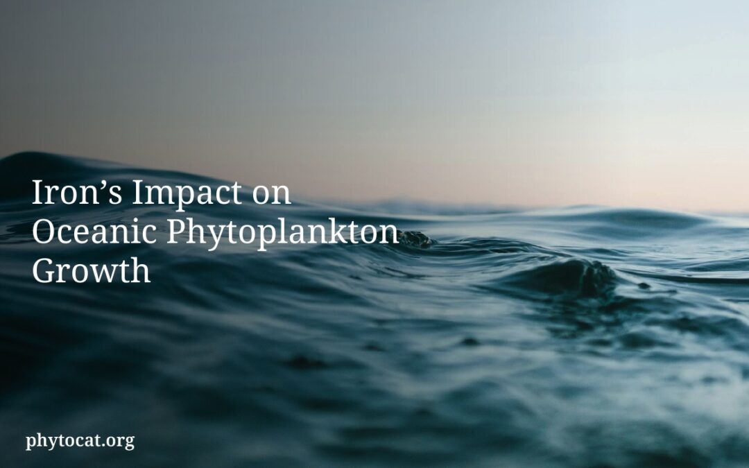 Iron’s Impact on Oceanic Phytoplankton Growth