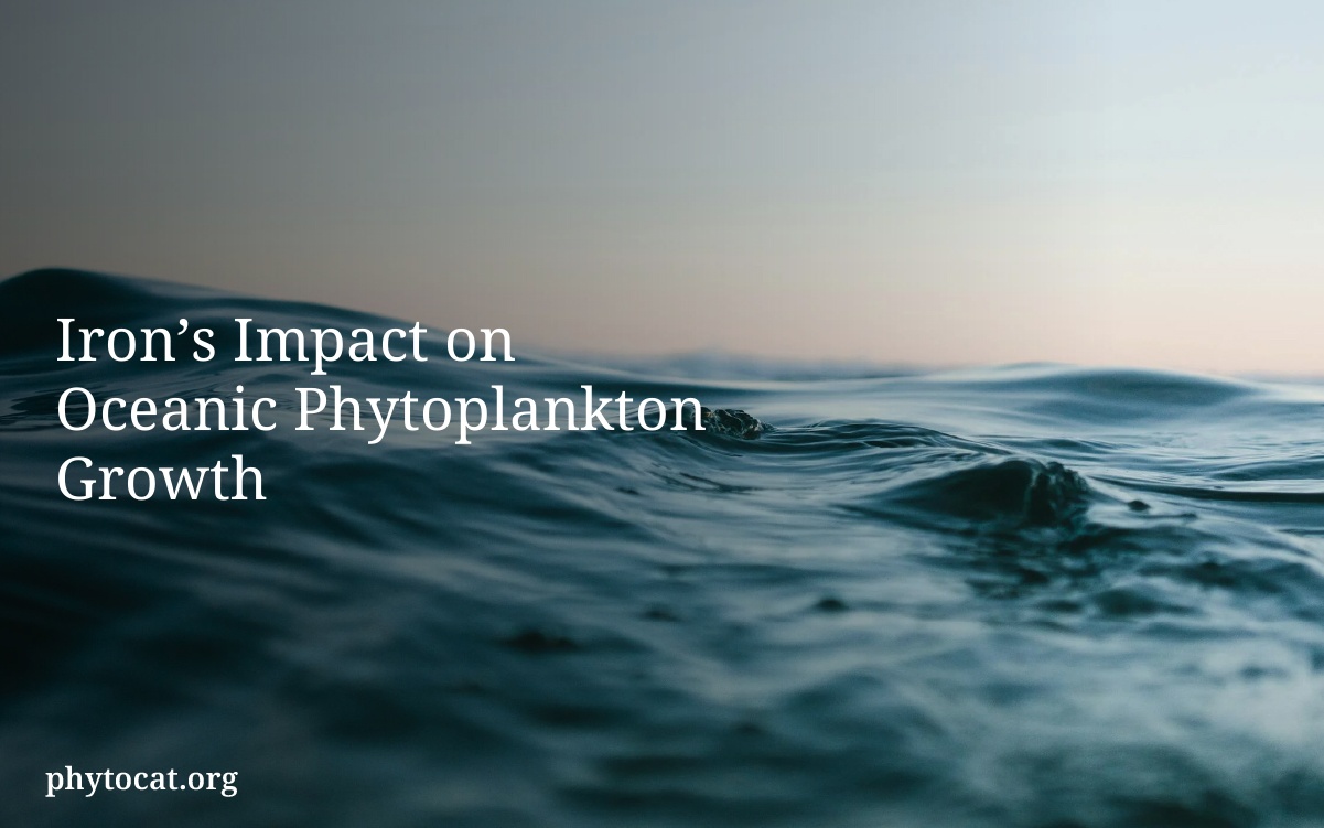 Iron’s Impact on Oceanic Phytoplankton Growth