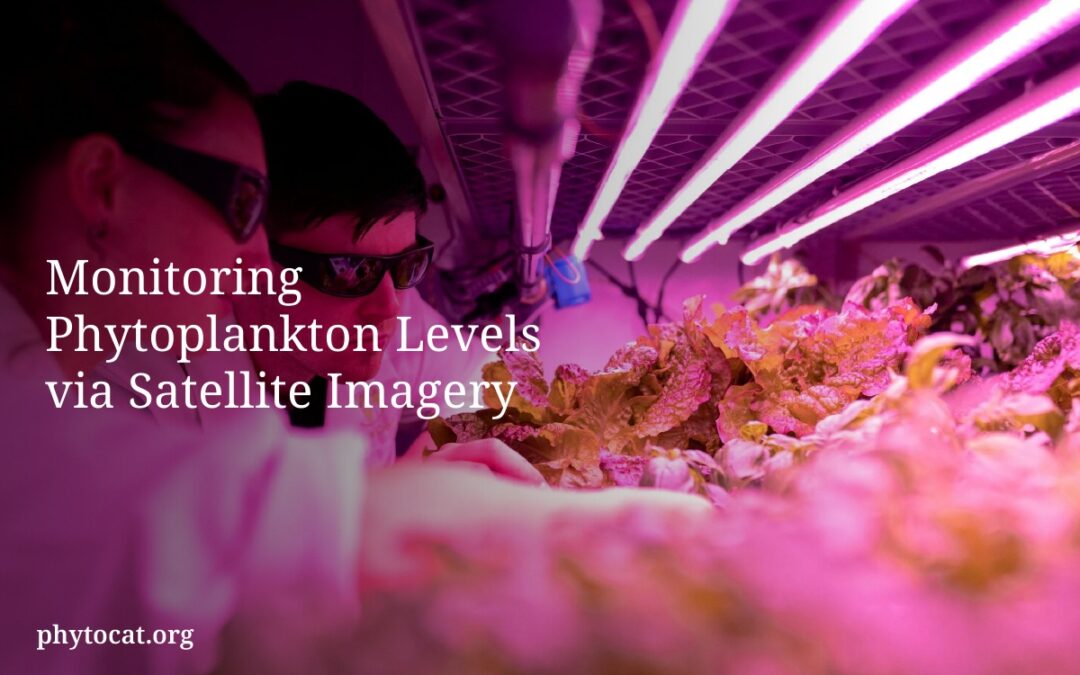 Monitoring Phytoplankton Levels via Satellite Imagery