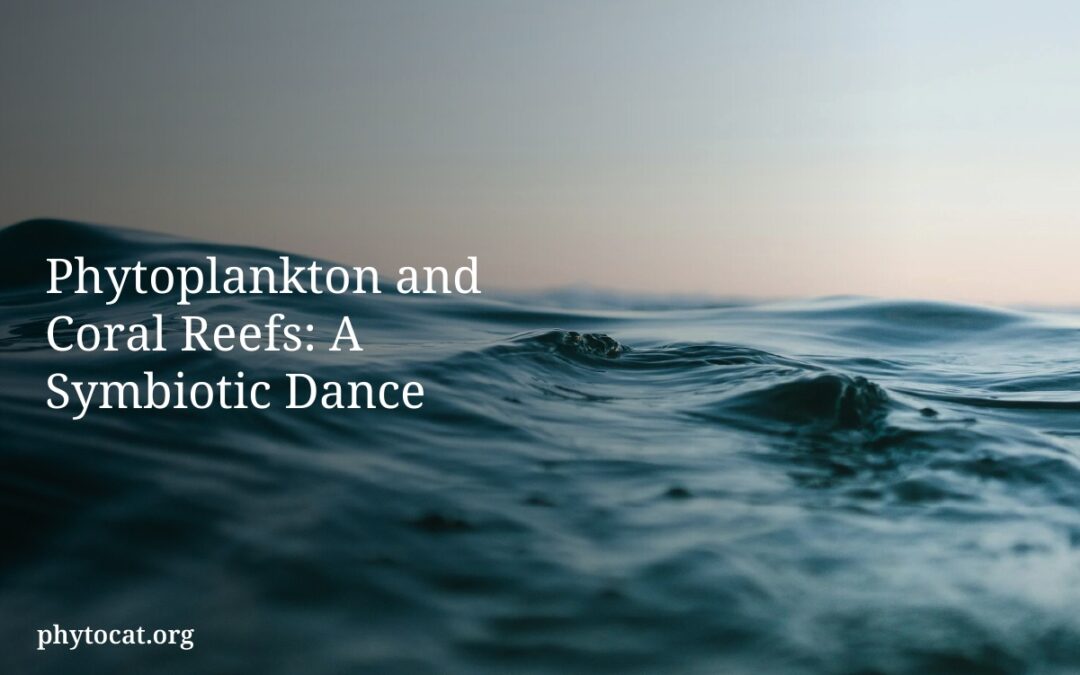 Phytoplankton and Coral Reefs: A Symbiotic Dance