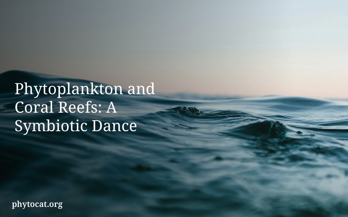 Phytoplankton and Coral Reefs: A Symbiotic Dance