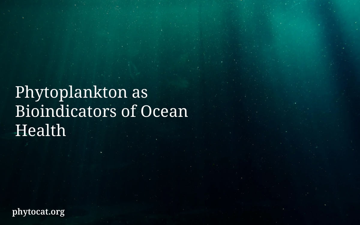 Phytoplankton as Bioindicators of Ocean Health