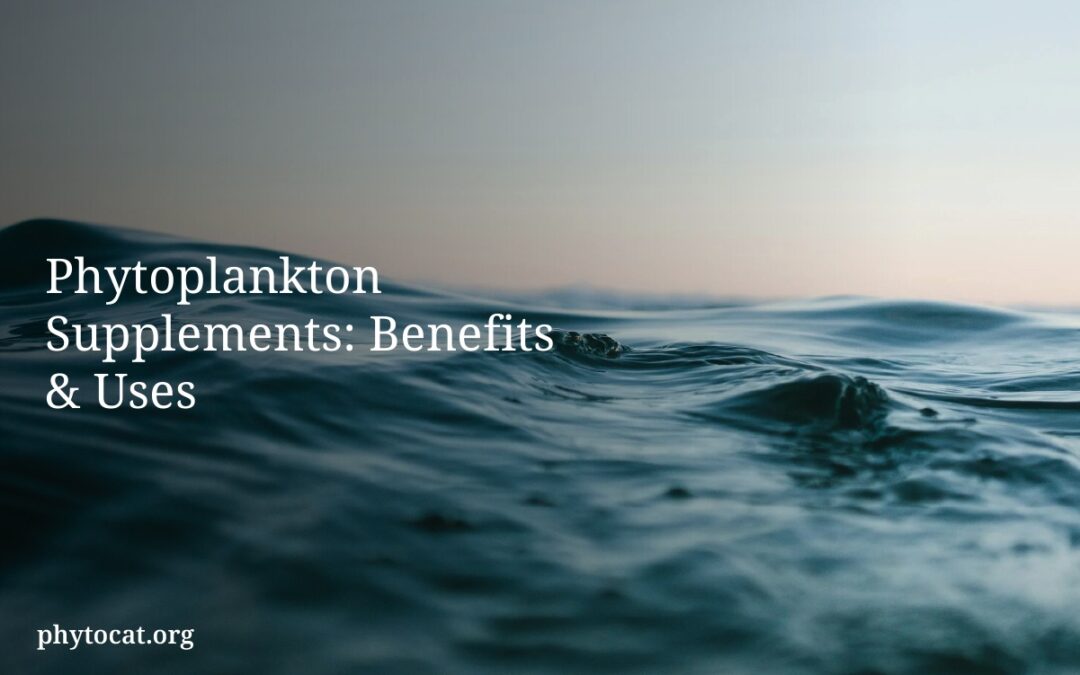 Phytoplankton Supplements: Benefits & Uses