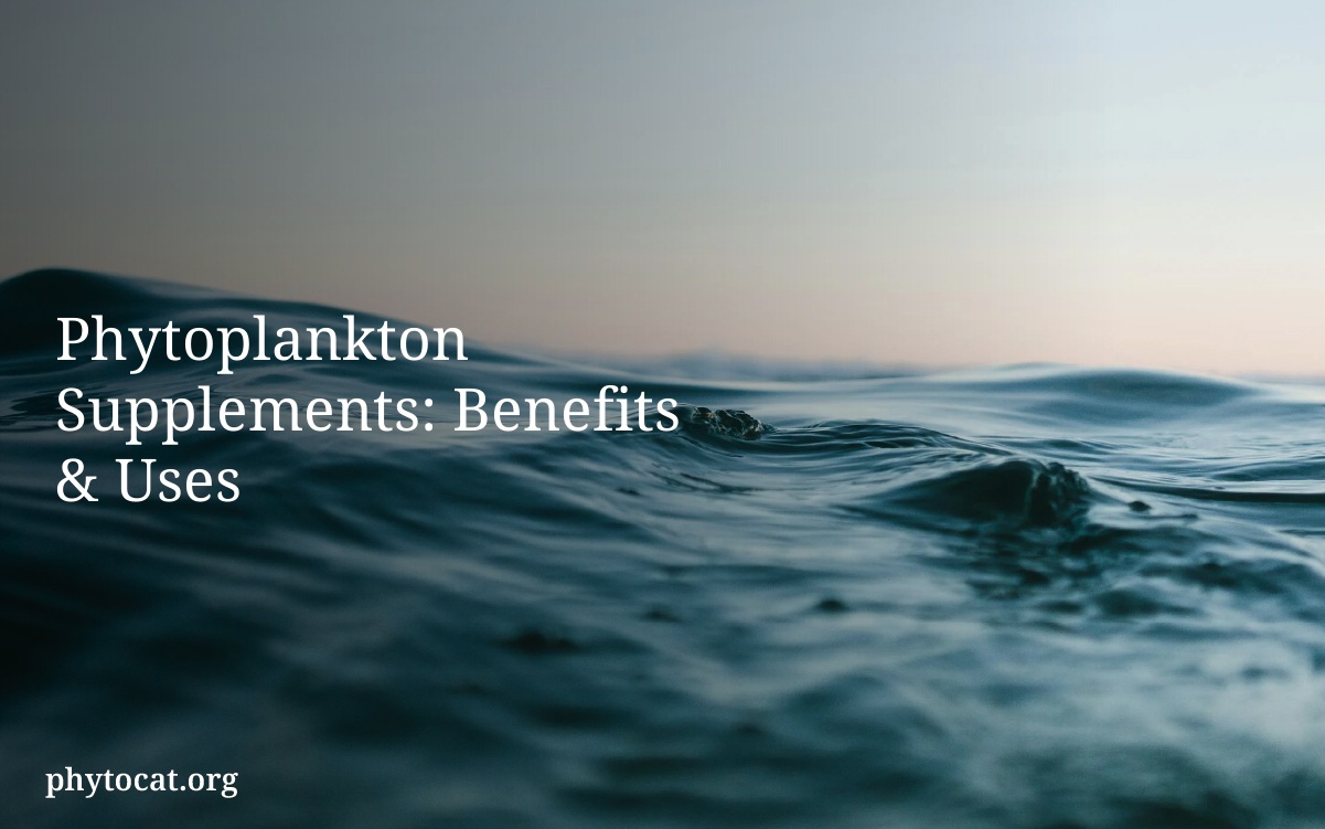 Phytoplankton Supplements: Benefits & Uses