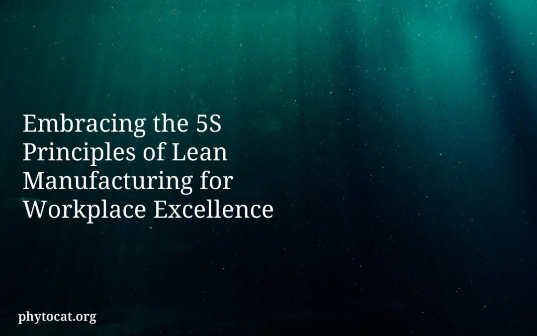 Embracing the 5S Principles of Lean Manufacturing for Workplace Excellence