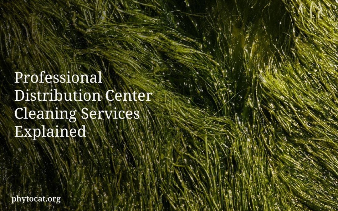 Professional Distribution Center Cleaning Services Explained