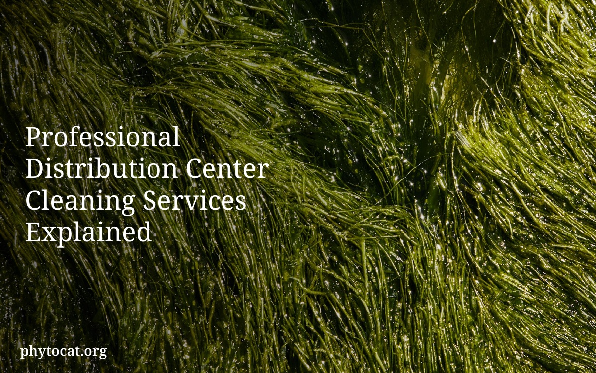 Professional Distribution Center Cleaning Services Explained
